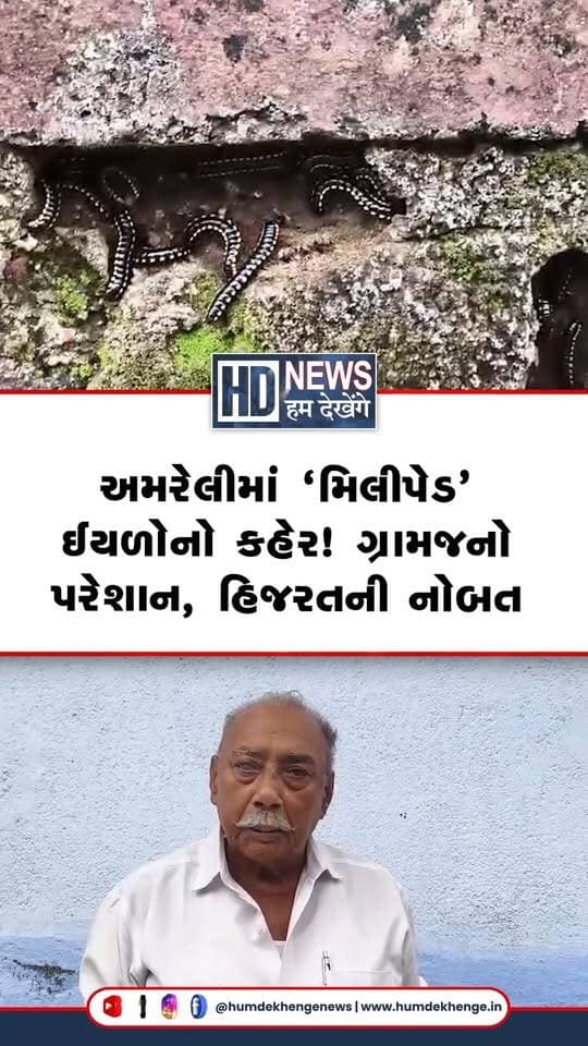 અમરેલી જિલ્લાના સાવરકુંડલા અને ખાંભા તાલુકાના ગ્રામ્ય વિસ્તારોમાં છેલ્લા 4 વર્ષથી કાંઉસી (મિલીપેડ) ઈયળનો ભારે ઉપદ્રવ જોવા મળી રહ્યો છે જેના કારણે ગ્રામજનોને ભારે હાલાકીનો સામનો કરવો પડી રહ્યો છે. જીવન જીવવું એટલું મુશ્કેલ બની ગયું છે કે હિજરતની નોબત આવી ગઈ છે.
#HumDekhengeNews #AmreliNews #Savarkundla #Khambha #MillipedeProblem #GujaratNews