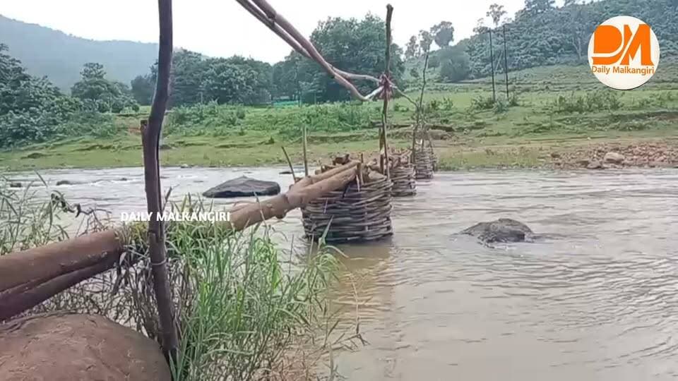 ଚିତ୍ରକୋଣ୍ଡା :କାଠ ଉପରେ ଯାତାୟାତ କରି ନଦୀ ପାରହେଉଛନ୍ତ ଗ୍ରାମ ବାସି । ମାଲକାନଗିରି ଜିଲ୍ଲା ସ୍ୱାଭିମାନ ଅଞ୍ଚଳ ରାଲେଗଡା ପଞ୍ଚାୟତର କଣ୍ଟାଗୁଡା ଗ୍ରାମରେ ନଦୀଉପରେ ବିପଦ ସଂକୁଳ ଅବସ୍ଥାରେ କଣ୍ଟାଗୁଡା ଲୋକେ ପ୍ରତିଦିନ ଯିବାଆସିବା କରିଥାନ୍ତି । କିନ୍ତୁ ଏହି ନଦୀରେ ବର୍ଷା ଦିନହେଲେ ନଇଁ ବଢିଗଲେ କଣ୍ଟାଗୁଡା ଗ୍ରାମଲୋକେ ଅନ୍ୟ ପାର୍ସକୁ ଯାଇପାରନ୍ତି ନାହିଁ ଏବଂ ଦେହ ଖରାପ ହେଲେ ସ୍ୱାସ୍ଥ୍ୟ କେନ୍ଦ୍ରକୁ ମଧ୍ୟ ଯାଇପାରନ୍ତି ନାହିଁ କିମ୍ବା କୌଣସି ବିଧବା ଭତା /ବାର୍ଦ୍ଧକ୍ୟ ଭତା ପାଇଁ ମଧ୍ୟ ଯାଇପାରନ୍ତି ନାହିଁ । ତେଣୁ ଏହି ନଦୀରେ ଗୋଟିଏ ବ୍ରିଜ ନିର୍ମାଣ କରାଗଲେ ଗ୍ରାମର ଶିଶୁମାନେ ଅଙ୍ଗନବାଡି ଓ ସ୍କୁଲରେ ପାଠ ପଢ଼ିବାରେ ସୁବିଧା ହୁଅନ୍ତା ଓ ଇନ୍ଦିରାଆବାସ ଗୃହର ସୁବିଧା ଇତ୍ୟାଦି ଶିକ୍ଷା /ସ୍ୱାସ୍ଥ୍ୟ /ପାନୀୟ ଜଳର ସମସ୍ୟା ଦୂର ହୁଅନ୍ତା ବୋଲି ଗ୍ରାମବାସୀ ମତ ପ୍ରକାଶ କରିଛନ୍ତି