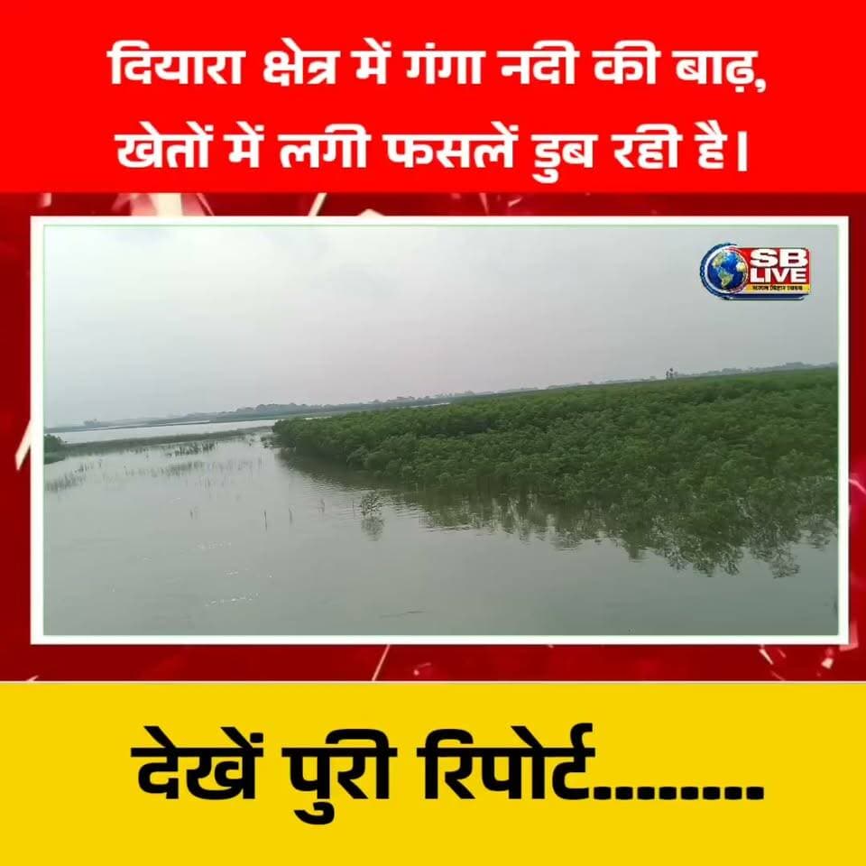 दियारा क्षेत्र में गंगा नदी की बाढ़,खेतों में लगी फसलें डुब रही है। Flood in Bihar begusarai village.
#flood #FloodNews #bihar #BiharNews #usa #usatrending #india