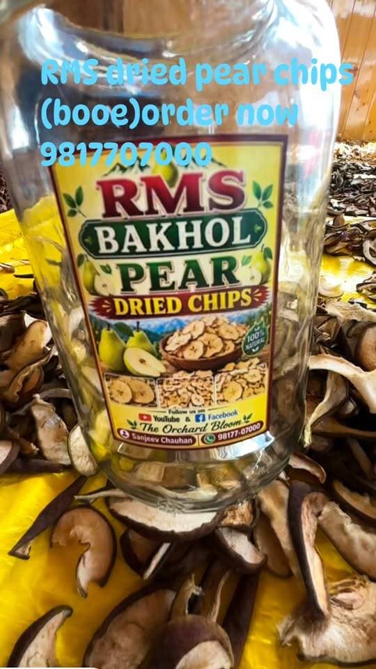 🍎 RMS Bakhol Dried Phari Chips 🍎
हिमाचल की पारंपरिक Phari भाषा में इन्हें “Booee” कहा जाता है। 🌿
100% Natural • Traditional • No Artificial Colour
RMS Bakhol की प्राकृतिक तरीके से तैयार की गई Dried Phari Chips (Booee) अब उपलब्ध हैं।
📞 Contact: 98177 00700
RMS Bakhol — पहाड़ का स्वाद, प्राकृतिक अंदाज़ में। 🍎🌿