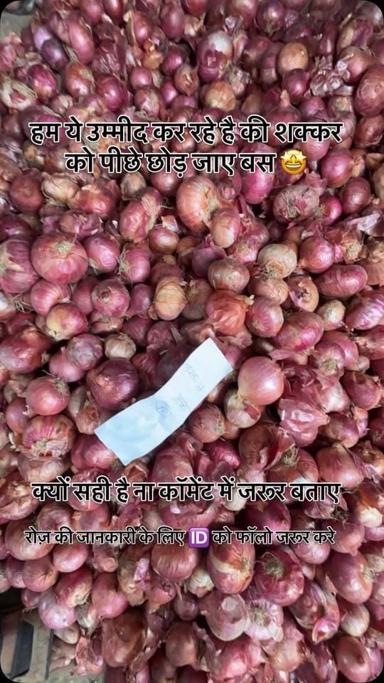 #viralreels #viralreelsvideo #trending #reelkarofeelkaro #mandibhavkalapipal
