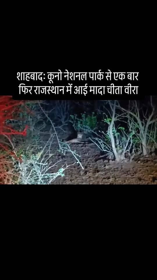 #viral #goankiawaaz #गांवकीआवाज #village