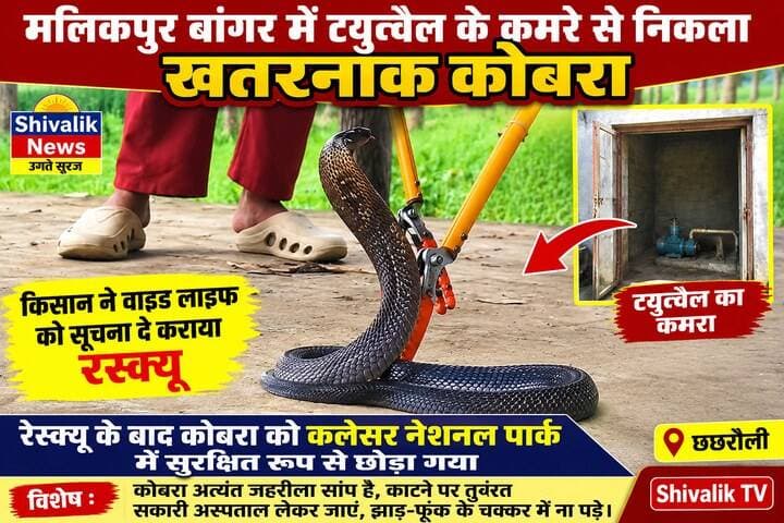 मलिकपुर बांगर में टयुव्वैल के कमरे में फुंकारे मार रहा था कोबरा,किसान वाइड लाइफ टीम से कराया रेस्क्यू
#hr71 #Sadora #accident #yamunanagar #jagadhri #kisan #cobra #widelife