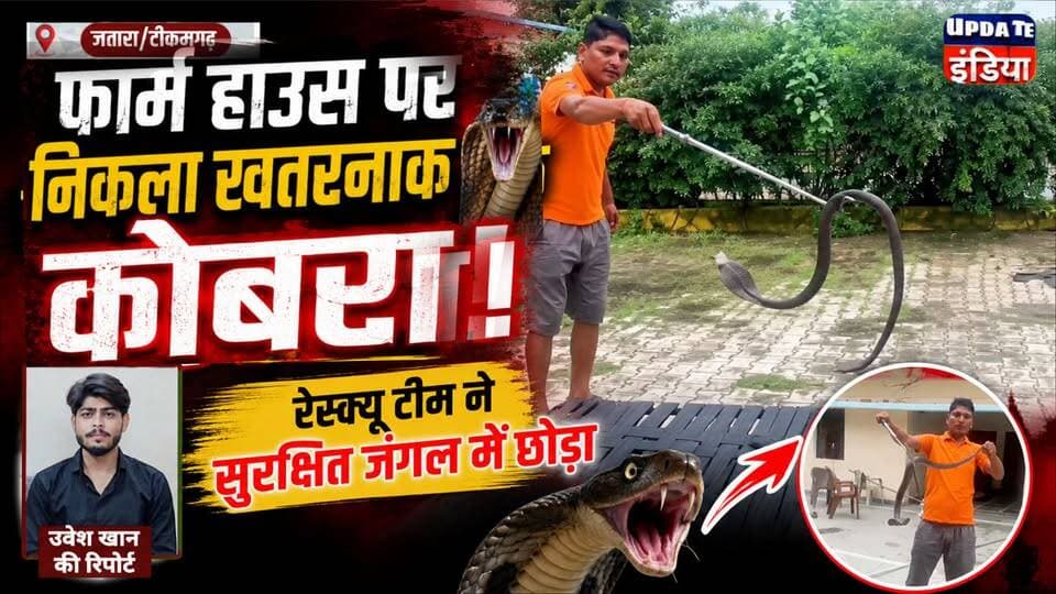 फार्म हाउस पर निकला खतरनाक कोबरा, रेस्क्यू टीम ने सुरक्षित पकड़कर जंगल में छोड़ा.. #news #jatara #snakerescue #viralvideos #mpnews #sankecobra #cobrasnake हमारा टीकमगढ़ TheBharat/द भारत Public Collector Tikamgarh The Bundelkhand Top Hindi panchayat- हिंदी पंचायत Public Tikamgarh Journalist Muhammad Uvesh