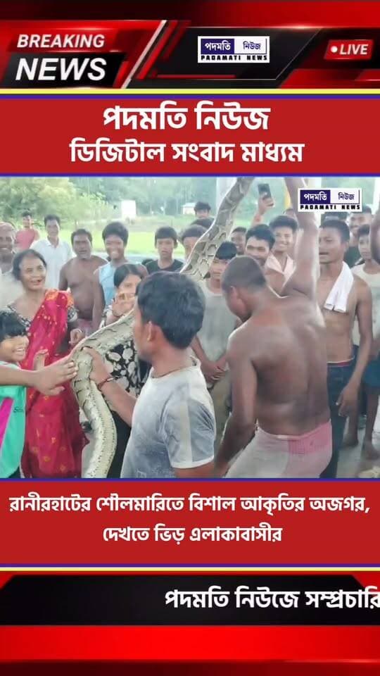 রানীরহাটের শৌলমারিতে বিশাল আকৃতির অজগর, দেখতে ভিড় এলাকাবাসীর
#ranirhat #mekhliganj