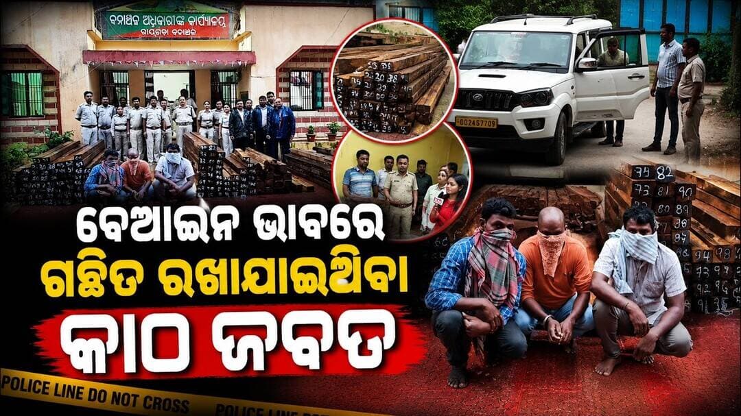 ବେଆଇନ ଭାବରେ ଗଚ୍ଛିତ ରଖାଯାଇଥିବା କାଠ ଜବତ || Illegal Timber Seized in Rayagada Forest Raid