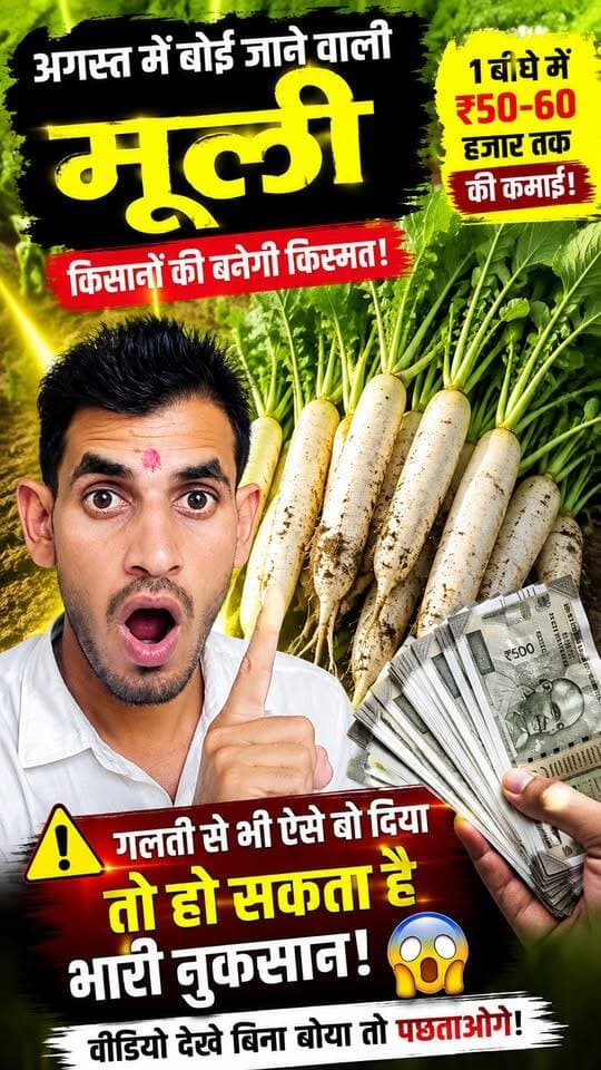 अगस्त में बोई जाने वाली मूली 🌱 | 1 बीघे में ₹50–60 हजार तक कमाई 😱 | किसान ये गलती बिल्कुल न करें!#मूलीकीखेती #मूली #अगस्तकीखेती #सब्जीकीखेती #किसान #किसानसाथी