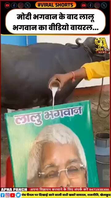 #viralvideo #lifeisbutadream #news #latestnews #trendingnews #haveitoldyoulatelythatiloveyou #apnapa