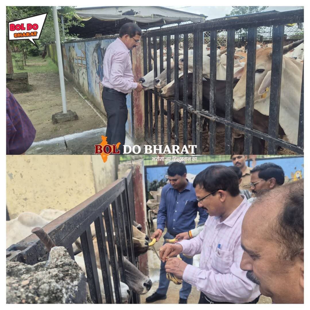 कान्हा गौशाला पहुंचे जिलाधिकारी, गोवंशों की व्यवस्थाओं का लिया जायजा
गोवंशों को गुड़-चना खिलाकर जताया स्नेह, बेहतर देखभाल और व्यवस्थाएं सुनिश्चित करने के दिए निर्देश
जितेंद्र गुप्ता ✍️ । जालौन
सरसौखी कान्हा गौशाला में जिलाधिकारी राजेश कुमार पाण्डेय ने पहुंचकर गौशाला में संरक्षित गोवंशों के लिए उपलब्ध व्यवस्थाओं का जायजा लिया। जिलाधिकारी ने गौशाला परिसर का भ्रमण कर गोवंशों के रख-रखाव, चारा, पेयजल, साफ-सफाई एवं स्वास्थ्य संबंधी व्यवस्थाओं का निरीक्षण किया तथा संबंधित अधिकारियों एवं कर्मचारियों को आवश्यक दिशा-निर्देश दिए। जिलाधिकारी ने गौशाला में संरक्षित गोवंशों को अपने हाथों से गुड़ एवं चना खिलाया। गोवंशों के प्रति स्नेह एवं संवेदनशीलता का संदेश देते हुए उन्होंने कहा कि गोवंशों का संरक्षण एवं उनकी बेहतर देखभाल शासन की प्राथमिकताओं में शामिल है। गौशाला में प्रत्येक गोवंश को पर्याप्त चारा, स्वच्छ पेयजल तथा आवश्यक पशु चिकित्सा सुविधाएं समय से उपलब्ध कराई जाएं। जिलाधिकारी ने निर्देश दिए कि गौशाला परिसर में नियमित रूप से साफ-सफाई कराई जाए और गोवंशों के स्वास्थ्य की निरंतर निगरानी की जाए। बीमार एवं कमजोर गोवंशों को चिन्हित कर उनके उपचार एवं विशेष देखभाल की व्यवस्था सुनिश्चित की जाए। उन्होंने चारे की पर्याप्त उपलब्धता बनाए रखने के निर्देश दिए।जिलाधिकारी ने कहा कि गौशाला केवल गोवंशों को आश्रय देने का स्थान नहीं, बल्कि उनकी सेवा, सुरक्षा और बेहतर देखभाल का केंद्र है। इसलिए संबंधित अधिकारी नियमित रूप से व्यवस्थाओं की निगरानी करते रहें और यह सुनिश्चित करें कि संरक्षित गोवंशों को किसी प्रकार की परेशानी न हो।
इस अवसर पर मुख्य विकास अधिकारी केके सिंह, सहित संबंधित विभागों के अधिकारी एवं गौशाला से जुड़े कर्मचारी उपस्थित रहे।
<nis:link nis:type=tag nis:id=jalaunnews nis:value=jalaunnews nis:enabled=true nis:link/> <nis:link nis:type=tag nis:id=orainews nis:value=OraiNews nis:enabled=true nis:link/> <nis:link nis:type=tag nis:id=dmjalaun nis:value=dmjalaun nis:enabled=true nis:link/> <nis:link nis:type=tag nis:id=newsupdate nis:value=NewsUpdate nis:enabled=true nis:link/> <nis:link nis:type=tag nis:id=localnews nis:value=LocalNews nis:enabled=true nis:link/> <nis:link nis:type=tag nis:id=कान्हागौशाला nis:value=कान्हागौशाला nis:enabled=true nis:link/>