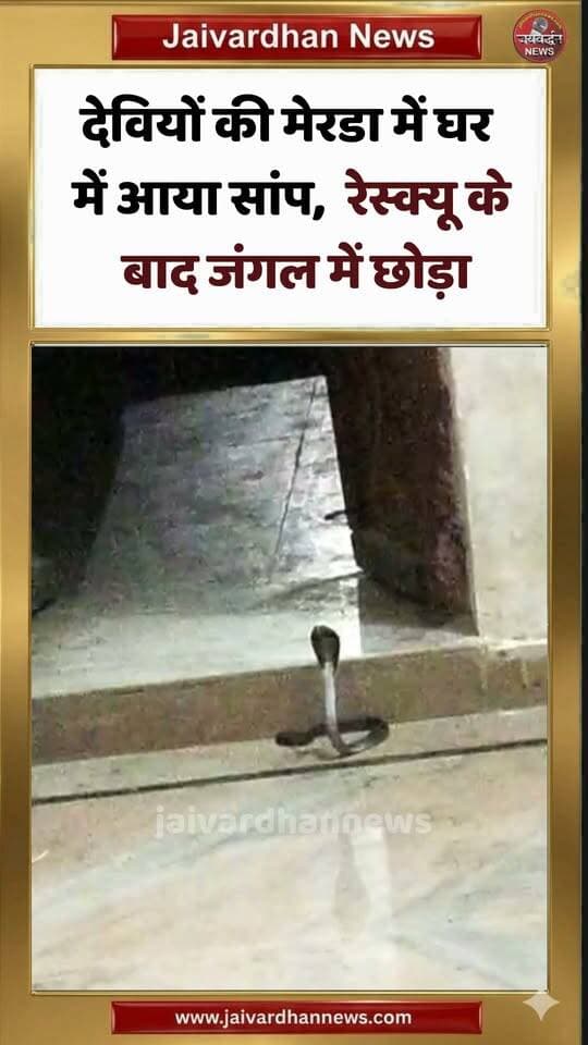 देवियों की मेरडा में घर में आया सांप, रेस्क्यू के बाद जंगल में छोड़ा #snakeresque #jaivardhannews