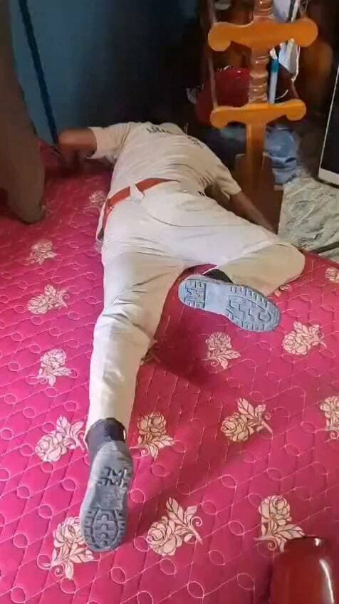 কাছাড়ের কাটিগড়ায় ফের উদ্ধার বিশালাকৃতির বেঙ্গল মনিটর লিজার্ড।🦎
সিদ্ধেশ্বর দ্বিতীয় খণ্ড গ্রামের একটি বাড়ির পালঙ্কের নিচ থেকে উদ্ধার সরীসৃপটি। মাত্র ২৩ দিনের ব্যবধানে একই এলাকায় ফের মনিটর লিজার্ড উদ্ধারে চাঞ্চল্য ছড়িয়েছে। বন বিভাগের তৎপরতায় নিরাপদে উদ্ধার করা হয় প্রাণীটিকে।