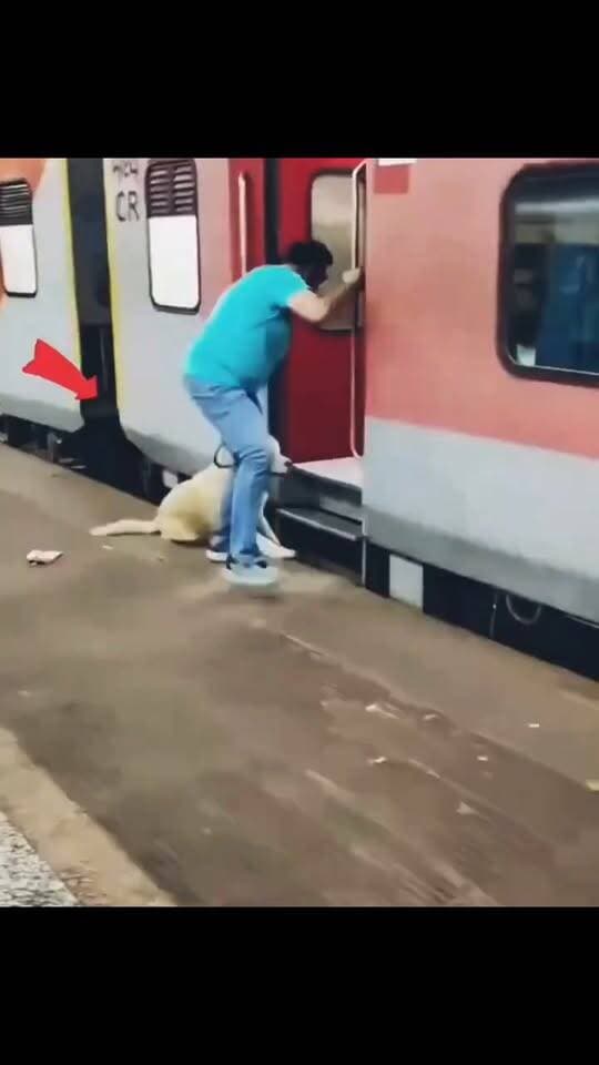 एक इंसान की जल्दबाजी और मूर्खता के कारण बेजुबान कुत्ते को अपनी जान गंवानी पड़ी!
चलती ट्रेन में इस तरह की जानलेवा लापरवाही अक्षम्य है!
ऐसे संवेदनहीन लोगों पर सख्त कार्रवाई होनी चाहिए !!
