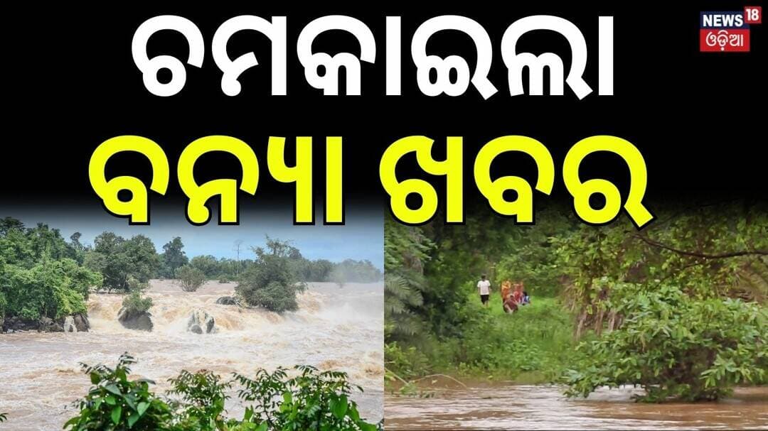 ଚମକାଇଲା ବନ୍ୟା ଖବର! Kalahandi Flood | Women Farmers Trapped in Flood | ODRAF & Fire Team Rescue LIVE