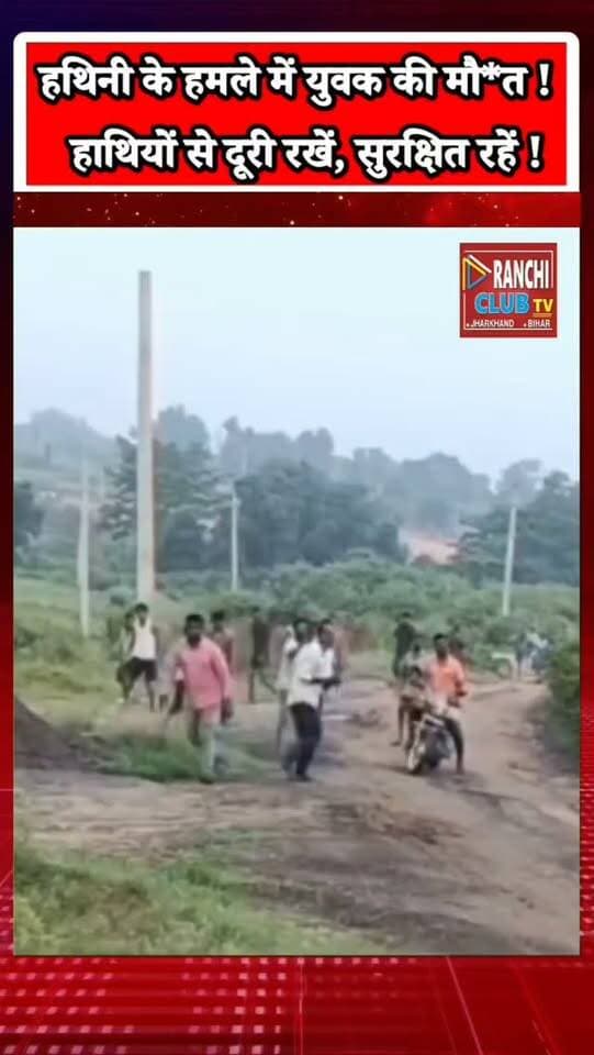 रामगढ़ में हाथी का तांडव ! नवजात शावक देखने उमड़ी भीड़, युवक की मौ*त | Ramgarh Elephant Attack
#Ramgarh #JharkhandNews #ElephantAttack #RamgarhNews #Jharkhand WildElephant ElephantCalf HumanWildlifeConflict HathiKaHamla WildlifeSafety RanchiClubTV BreakingNews LatestNews PublicAwareness WildlifeAwareness
