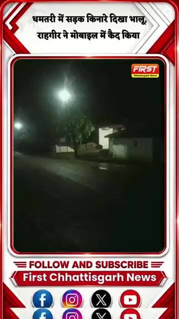 धमतरी में सड़क किनारे दिखा भालू, राहगीर ने मोबाइल में कैद किया LIVE VIDEO | Dhamtari Bear News