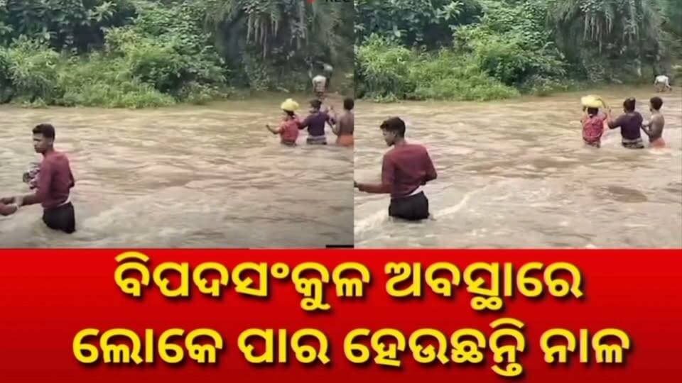 ବିପଦସଂକୁଳ ଅବସ୍ଥାରେ ଲୋକେ ପାର ହେଉଛନ୍ତି ନାଳ l ଲଗାଣ ବର୍ଷା ଫଳରେ ନାଳରେ ମାଡିଆସିଛି ବନ୍ୟାଜଳ l ରାୟଗଡା ଗୁଡାରୀ ବ୍ଲକ ପଞ୍ଚୁପାଣ୍ଡବ ଗ୍ରାମର ଦୃଶ୍ୟ #Raygada #FloodControl #raygadanews #Odisha #OdishaNews #National24
