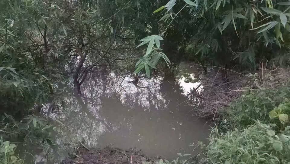 पहाड़ी थाना क्षेत्र में करही नाला में डूबने से बालिका सहित दो बच्चों की मौत,परिजनों में मचा कोहराम
मामला चित्रकूट पहाड़ी थाना क्षेत्र के बाबूपुर गांव के गिरधर पुरवा मजरे में रविवार शाम कर्वी 5 बजे करही नाला में स्नान करने गए दो बच्चों की डूबने से मौत हो गई। मृतक 7 वर्षीय मनदीप पुत्र राममिलन यादव और 10 वर्षीय पायल पुत्री कौशलेंद्र के परिजनों न बताया कि दोनों बच्चे रविवार करीब पांच बजे गांव के पास स्थित करही नाला में स्नान करने गए थे। इसी दौरान दोनों गहरे पानी में डूब गए घटना की सूचना मिलते ही पुलिस मौके पर पहुंची और स्थानीय लोगों की मदद से दोनों बच्चों नाला से निकाल कर परिजन सामुदायिक स्वास्थ्य केंद्र पहाड़ी लेकर पहुंचे, जहां चिकित्सकों ने उन्हें मृत घोषित कर दिया घटना के बाद परिवार में कोहराम मच गया पुलिस ने मामले की जांच शुरू कर आवश्यक विधिक कार्रवाई की है