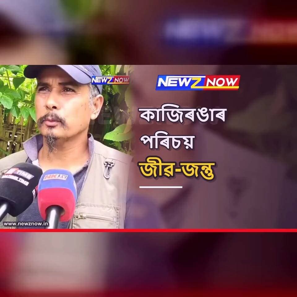 কাজিৰঙাৰ পৰিচয় জীৱ-জন্তুকেইটাই, ৰক্ষা কৰা আমাৰ দায়িত্ব
কাজিৰঙা ESZ কলৈ প্ৰতিক্ৰিয়া পৰিৱেশ কৰ্মী মনোজ গগৈৰ