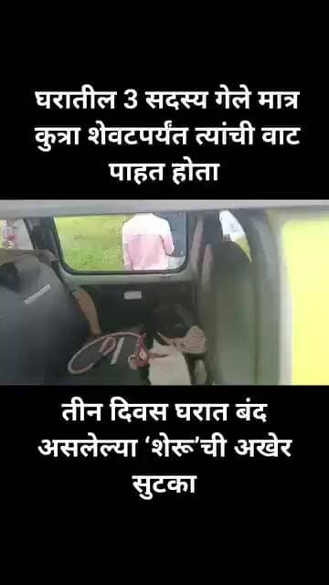 तीन दिवस घरात बंद असलेल्या शेरू’ची अखेर सुटका शहरात घडलेल्या दुर्दैवी घटनेनंतर गेल्या तीन दिवसांपासू