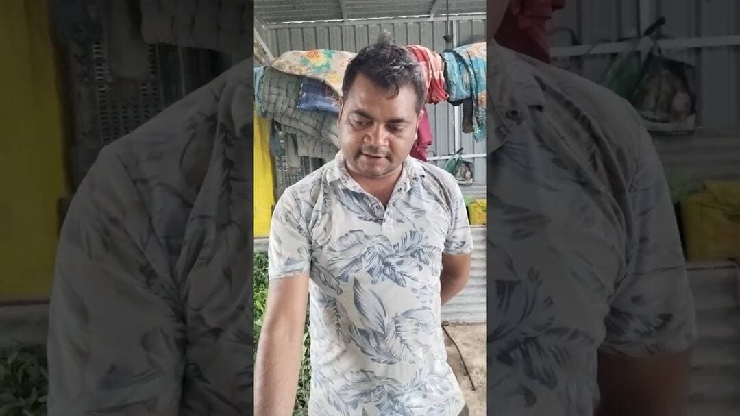 संतरे के पौधे खरीदने के लिए संपर्क करें सतीश जी राजपूत आगरा वाले +918650146712