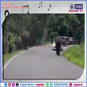 ELEPHANT ATTACK | திடீரென ஓடிவந்து காரை சூறையாடிய யானை | #RAGAMNEWS
