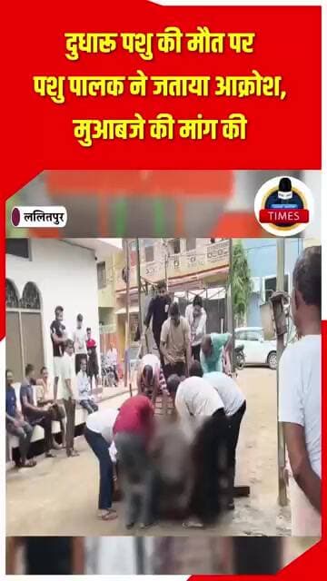 ललितपुर ब्रेकिंग तलाबपुरा में डोडाघाट पर लगे ट्रांसफ़ार्मर के खुले तारों की चपेट में आकर भैस