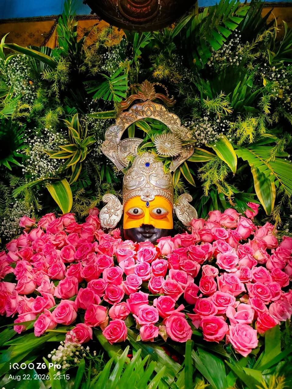 201 निशानों के साथ निकली भव्य निशान यात्रा
देवास। पुत्रदा एकादशी के पावन अवसर पर अमृत नगर स्थित खाटू श्याम धाम मंदिर में रविवार को 201 निशानों की भव्य निशान यात्रा निकाली गई। चाणक्यपुरी के राधा-कृष्ण मंदिर से शुरू हुई यात्रा केला देवी मंदिर और जवाहर नगर होते हुए खाटू श्याम धाम पहुंची, जहां भक्तों ने बाबा श्याम को निशान अर्पित किए।
मंदिर में बाबा का आकर्षक श्रृंगार कर छप्पन भोग लगाया गया। महाआरती और भजन संध्या में बड़ी संख्या में श्रद्धालु शामिल हुए। गायक हिमांशु विजयवर्गीय एवं राधा ठाकुर की भजन प्रस्तुतियों पर भक्त झूम उठे। आयोजन के अंत में श्रद्धालुओं को प्रसाद वितरित किया गया।