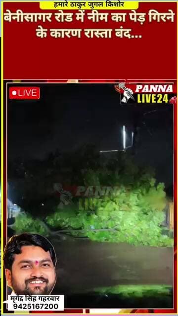 बेनीसागर रोड नीम का पेड़ गिरने के कारण रास्ता बंद...