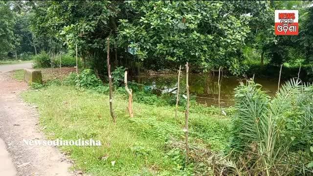 ସୋଲାର ତାର ସାହା ଚାଷୀ କୁ ଯୋରନ୍ଦା ରେ ଅlତିଣ୍ଡା ଗ୍ରାମ ରେ ଚାଷୀ ଲଗାଇଲେ ସୋଲାର ଦନ୍ତା ଦାଉରୁ ବଞ୍ଚିବ ତ ଚାଷୀ
#public #newsodiaodisha #dhenkanal #newsupdate #facebookreelsviralviralシfypシ゚2026