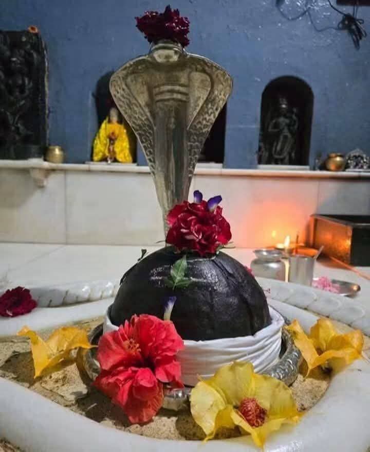 जय बाबा बैजनाथ,हर हर महादेव