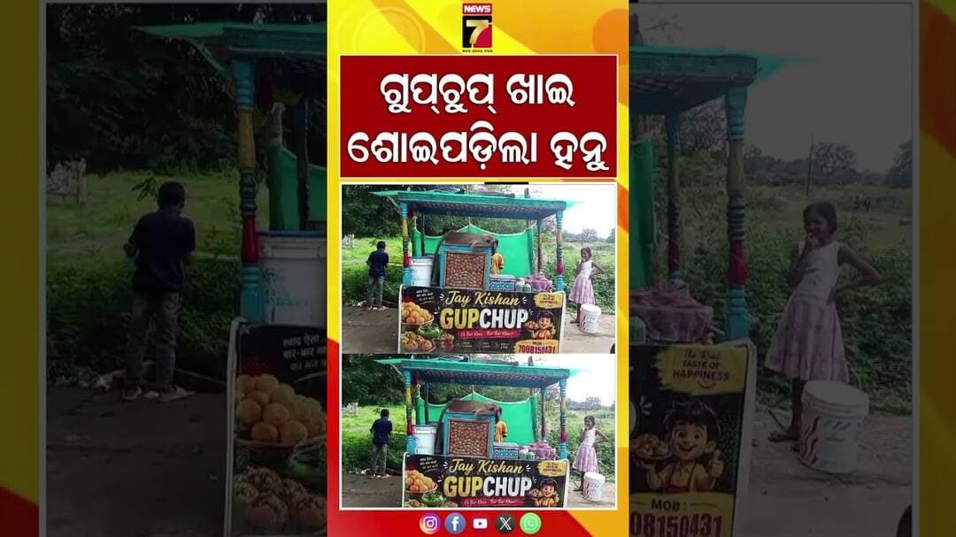 ଗୁପୁଚୁପ ଖାଇ ଶୋଇପଡ଼ିଲା ହନୁ #gupchup #monkey #patna #viralvideo #prameyanews7