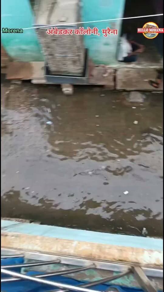 बाबा साहब के नाम की तो लाज रख लो नगर निगम वालो...👇
मुरैना में जौरा रोड स्थित अंबेडकर कॉलोनी में जलभराव की स्थिति।