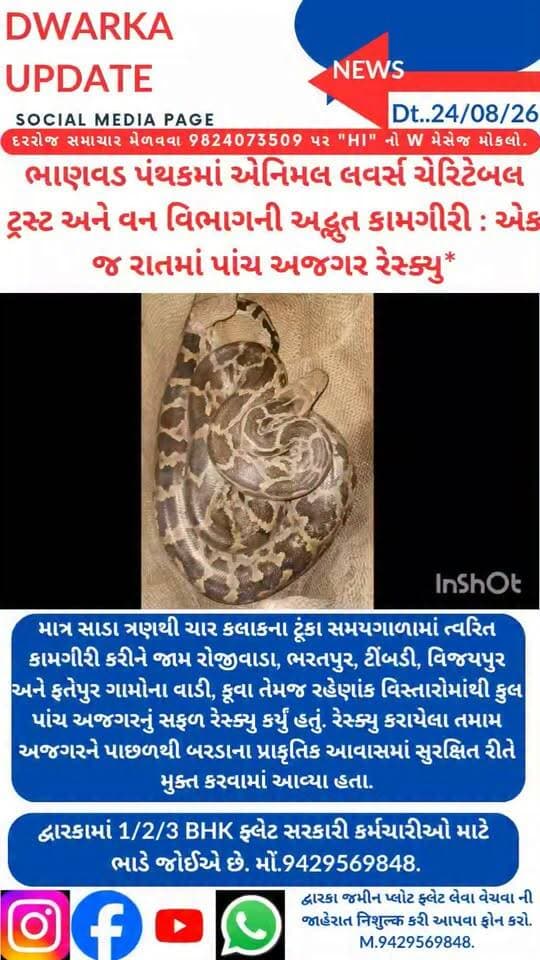 એક રાતમાં પાંચ અજગર ને રેસ્કયુ કરી જંગલમાં છોડી દેવામાં આવ્યા...
ભાણવડ પંથકમાં એનિમલ લવર્સ ચેરિટેબલ ટ્રસ્ટ અને વન વિભાગની અદ્ભુત કામગીરી : એક જ રાતમાં પાંચ અજગર રેસ્ક્યુ કરવામાં આવ્યા..
ટ્રસ્ટના પ્રમુખ અશોકભાઈ ભટ્ટના નેતૃત્વ હેઠળ દૂદાભાઈ ભરવાડ, મેરામણભાઈ, વિજય ખુટી, પરાગ પીઠિયા,વિશાલ ભરવાડ અને અક્ષય સૂચક તેમજ વન વિભાગના લક્ષેશ વાણિયાએ મહત્વનું યોગદાન આપ્યું હતું.
દેવભૂમિ દ્વારકા જિલ્લાના અતિ મહત્વના સમાચારો અને માહિતી નિહાળવા અમારા પેજ ને ફોલો કરી લાઈક શેર અને સબસ્ક્રાઇબ કરો.
આપના અમૂલ્ય અભિપ્રાય આપવા વિનંતી.
Dwarka Up Date@94295 69848.
અમારી સાથે જોડાવવા " yas " નો W મેસેજ કરો.