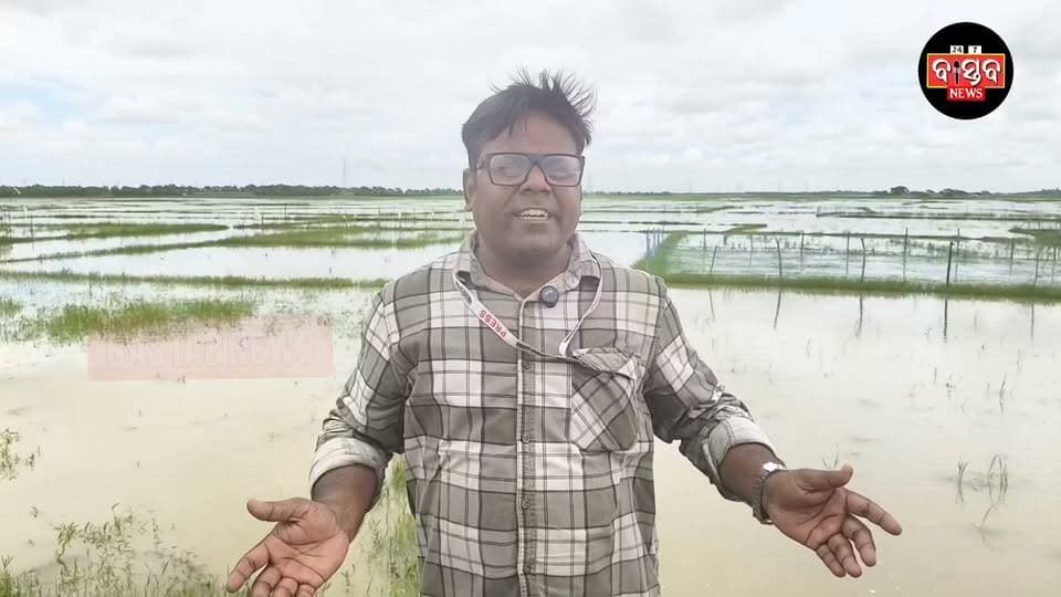 ତିହିଡି ବ୍ଲକ ବାମନବିନ୍ଧା ପଞ୍ଚାୟତରେ ବନ୍ୟା ପାଣି ଯୋଗୁଁ ସଙ୍ଗୀନ ହୋଇପଡ଼ିଛି ସ୍ଥିତି,ଚାଷୀଙ୍କ ଆଖି ଆଗରେ ନଷ୍ଟ ହୋଉଛି ଫସଲ,ଏଭଳି ସ୍ଥିତିରେ ପ୍ରଶାସନ ପକ୍ଷରୁ ତୁରନ୍ତ ସହାୟତା ସହ ଚାଷୀଙ୍କ କ୍ଷୟକ୍ଷତି ଆକଳନ ଓ କ୍ଷତିପୂରଣ ଦାବି ଜୋର ଧରିଛି......|