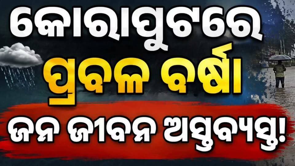 #କୋରାପୁଟରେ_ପ୍ରବଳ_ବର୍ଷା_ଜନଜୀବନ_ଅସ୍ତବ୍ୟସ୍ତ
ଲଘୁଚାପ ପ୍ରଭାବରେ କୋରାପୁଟ ଜିଲ୍ଲାରେ ପ୍ରବଳ ବର୍ଷା ଜାରି। ଲଗାଣ ବର୍ଷା ଯୋଗୁଁ ବିଭିନ୍ନ ସ୍ଥାନରେ ରାସ୍ତାଘାଟରେ ପାଣି ଜମିବା ସହ ଜନଜୀବନ ପ୍ରଭାବିତ ହୋଇଛି। ଯାତାୟାତରେ ମଧ୍ୟ ସମସ୍ୟା ଦେଖାଦେଇଛି।
⚠️ ବର୍ଷା ସମୟରେ ଅତ୍ୟାବଶ୍ୟକ ନଥିଲେ ଘରୁ ବାହାରନ୍ତୁ ନାହିଁ।
#Koraput #KoraputNews #HeavyRain #RainAlert #OdishaNews #କୋରାପୁଟ #ବର୍ଷା #ଜନଜୀବନ_ଅସ୍ତବ୍ୟସ୍ତ