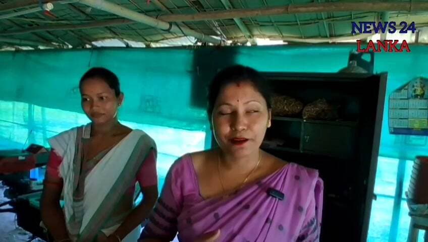 কাকীত কাঠফুলা খেতি কৰি স্বাৱলম্বীতাৰ সুন্দৰ নিদৰ্শন দাঙি ধৰিছে শিখা মণি বৰাই
#mushrooms #framing #selfincome #kaki #highlightseveryone