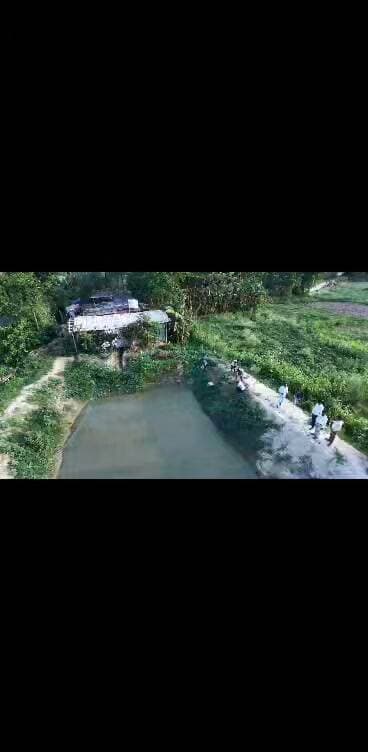 Testimonial
जल जीवन हरियाली के तहत पोखर का जीर्णोद्धार कर मछली पालन।