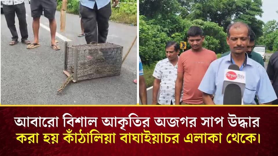 আবারো বিশাল আকৃতির অজগর সাপ উদ্ধার করা হয় কাঁঠালিয়া বাঘাইয়াচর এলাকা থেকে।