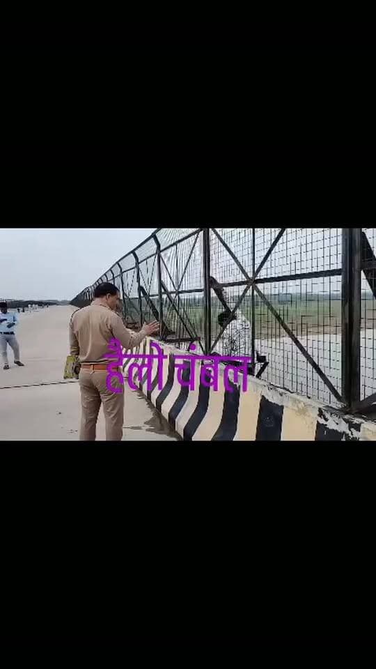 भिंड -भिंड जिले में प्रेम प्रसंग से जुड़ा एक वीडियो सोशल मीडिया पर तेजी से वायरल हो रहा है। वीडियो में एक युवक अपनी प्रेमिका को बुलाने की मांग करते हुए चंबल नदी में कूदने की बात कहता नजर आ रहा है। युवक का कहना है कि यदि उसकी प्रेमिका को नहीं लाया गया तो वह नदी में कूद जाएगा।
हालांकि वायरल वीडियो की पुष्टि और घटना के संबंध में आधिकारिक जानकारी सामने आना बाकी है। सोशल मीडिया पर वायरल वीडियो को लेकर तरह-तरह की चर्चाएं जारी हैं।