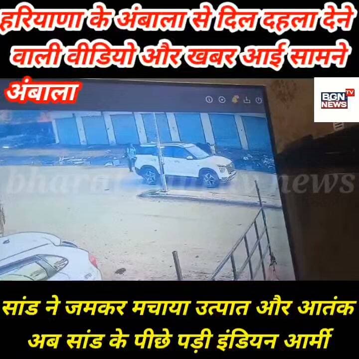 हरियाणा के अंबाला से दिल दहला देने
वाली वीडियो और खबर आई सामने,सांड ने जमकर मचाया उत्पात और आतंक
अब सांड के पीछे पड़ी इंडियन आर्मी, CCTV फुटेज हुआ वायरल
#ambala #CCTVCamera #CCTVFootage #haryana #HaryanaNews Bharat Gaurav News - 24 Live Update