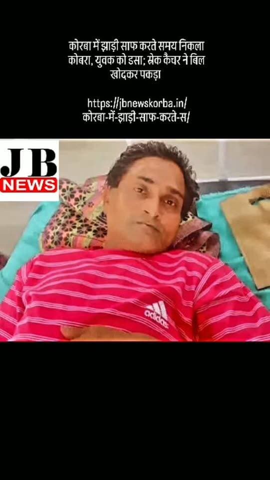 कोरबा में झाड़ी साफ करते समय निकला कोबरा, युवक को डसा; स्नेक कैचर ने बिल खोदकर पकड़ा
https://jbnewskorba.in/कोरबा-में-झाड़ी-साफ-करते-स/