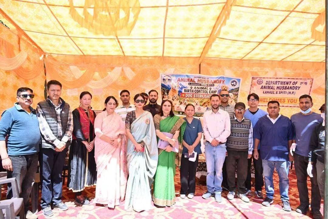 आवारा कुत्तों की बढ़ती संख्या पर लगेगी लगाम, लाहौल-स्पीति में शुरू हुआ ‘एनीमल बर्थ कंट्रोल’ अभियान
केलांग में 24 से 26 अगस्त तक 30 आवारा कुत्तों की नसबंदी का लक्ष्य, उदयपुर में 27 से 29 अगस्त तक चलेगा अभियान
Kullu Times
उपायुक्त लाहौल स्पीति किरण भड़ाना ने आज आवारा कुत्तों की बढ़ती संख्या पर प्रभावी नियंत्रण के उद्देश्य से संचालित ‘एनीमल बर्थ कंट्रोल (ABC) कार्यक्रम’ के तहत छह दिवसीय नसबंदी अभियान का केलांग उपमंडल की ग्राम पंचायत गौशाल में शुभारंभ किया।
इस अवसर पर उपायुक्त ने कहा कि जिले में आवारा कुत्तों की अनियंत्रित बढ़ती संख्या चिंता का विषय है। इनके कारण कुत्तों के काटने की घटनाओं तथा रेबीज जैसी घातक बीमारी के फैलने की आशंका बनी रहती है। उन्होंने कहा कि ‘एनीमल बर्थ कंट्रोल कार्यक्रम’ आवारा कुत्तों की संख्या को मानवीय एवं वैज्ञानिक तरीके से नियंत्रित करने का प्रभावी उपाय है।
उन्होंने बताया कि इस कार्यक्रम के तहत आवारा कुत्तों को पकड़कर उनकी नसबंदी की जाती है। सर्जरी के बाद उन्हें आवश्यक उपचार एवं एंटी-रेबीज टीकाकरण दिया जाता है तथा स्वस्थ होने के उपरांत उन्हें उसी क्षेत्र में वापस छोड़ा जाता है, जहां से उन्हें पकड़ा गया था। इससे कुत्तों की संख्या नियंत्रित करने के साथ-साथ रेबीज जैसी बीमारी की रोकथाम में भी मदद मिलेगी। उन्होंने कहा इससे सर्दियों के समय कुतों के काटने की घटनाओं पर भी अंकुश लगेगा।
केलांग में 30 और उदयपुर में 30 कुत्तों की नसबंदी का लक्ष्य
उपनिदेशक पशुपालन विभाग डॉ. पूनम ठाकुर ने बताया कि जिले में आवारा कुत्तों का अनियंत्रित प्रजनन लगातार चिंता का विषय बनता जा रहा है। उन्होंने कहा कि एनीमल बर्थ कंट्रोल कार्यक्रम आवारा कुत्तों की संख्या को नियंत्रित करने में महत्वपूर्ण भूमिका निभाएगा।
उन्होंने बताया कि हाल ही में माननीय सर्वाेच्च न्यायालय द्वारा एनीमल बर्थ कंट्रोल कार्यक्रम-2023 को देशभर में प्रभावी ढंग से लागू करने के निर्देश दिए गए हैं। उन्होंने कहा कि विभाग द्वारा पिछले वर्ष भी 50 आवारा कुत्तों की नसबंदी की गई थी, जबकि जिले में 534 कुत्तों को एंटी-रेबीज टीकाकरण किया गया।
उन्होंने बताया कि वर्तमान अभियान के तहत 24 से 26 अगस्त तक केलांग उपमंडल में 30 आवारा कुत्तों की नसबंदी करने का लक्ष्य निर्धारित किया गया है। इसके बाद 27 से 29 अगस्त तक उदयपुर उपमंडल में भी 30 आवारा कुत्तों की नसबंदी की जाएगी।
पंचायतों से अभियान में सक्रिय सहयोग का आह्वान
उपायुक्त किरण भड़ाना ने ग्राम पंचायत गौशाल के प्रधान रमेश चंद सहित पंचायत प्रतिनिधियों और स्थानीय ग्रामीणों द्वारा अभियान के सफल संचालन में दिए जा रहे सक्रिय सहयोग की सराहना की। उन्होंने जिले की अन्य पंचायतों के प्रतिनिधियों से भी आह्वान किया कि वे अपने-अपने क्षेत्रों में विभागीय अधिकारियों एवं टीमों को आवश्यक सहयोग प्रदान करें, ताकि अभियान को प्रभावी रूप से सफल बनाया जा सके और आवारा कुत्तों की अनियंत्रित संख्या पर नियंत्रण पाया जा सके।
उपायुक्त ने इस कार्य में सहयोग के लिए मनाली स्थित एनजीओ ‘मनाली स्ट्रेज’ के सदस्यों का भी आभार व्यक्त किया।
इस अवसर पर विभागीय अधिकारियों एवं स्थानीय महिला मंडल की सदस्यों ने उपायुक्त को पारंपरिक टोपी एवं खतक भेंट कर सम्मानित किया तथा अभियान के सफल संचालन के लिए उनके विशेष सहयोग हेतु आभार व्यक्त किया।
कार्यक्रम में डॉ. एकता शर्मा, डॉ. सुदर्शन लाल, डॉ. अशमिता, डॉ. मनीषा वर्मा, डॉ. मुकेश सहित पशुपालन विभाग के अधिकारी-कर्मचारी, स्थानीय महिला मंडल की सदस्याएं तथा बड़ी संख्या में ग्रामीण उपस्थित रहे।
बाक्स : उपायुक्त ने बताया कि इस तरह का कार्यक्रम अक्टूबर माह में भी आयोजित किया जाएगा