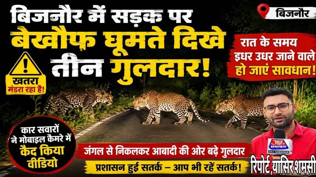 सड़क पर बेखौफ घूमते दिखे तीन गुलदार,कार सवारों ने मोबाइल कैमरे में कैद किया वीडियो#asm_news