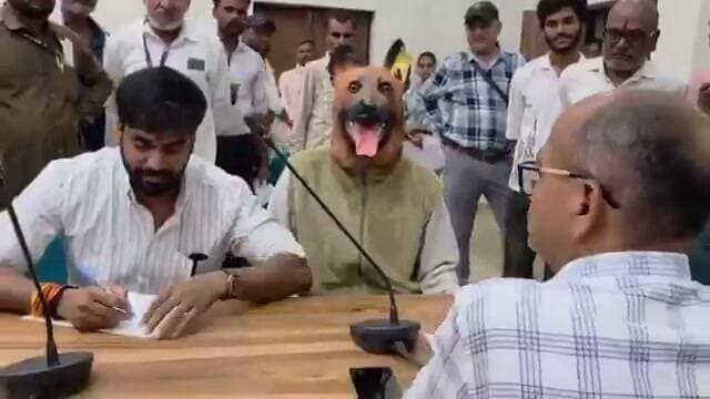 खंडवा में आवारा कुत्तों की बढ़ती समस्या के खिलाफ अनोखे अंदाज में विरोध प्रदर्शन किया गया।
शहर में बढ़ते कुत्तों के आतंक को लेकर एक युवक कुत्ते का कॉस्ट्यूम पहनकर कलेक्ट्रेट पहुंचा और जनसुनवाई में अपनी शिकायत दर्ज कराई।
युवक को इस अनोखे रूप में देखकर अधिकारी और स्थानीय लोग भी हैरान रह गए। उसे देखने के लिए कलेक्ट्रेट परिसर में लोगों की भीड़ जुट गई।