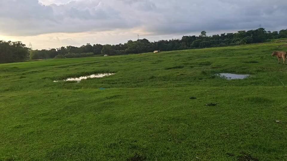 সাংবাদিকের ক্যামেরা দেখা মাত্রই পালিয়ে গেল অবৈধ বালু উত্তোলন কারিরা।