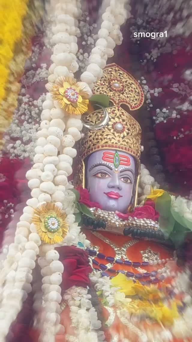 श्री महाकालेश्वर मंदिर , प्रभु महाकाल की शाही सवारी एवं नगर भ्रमण 2026🌹🌹✨️✨️