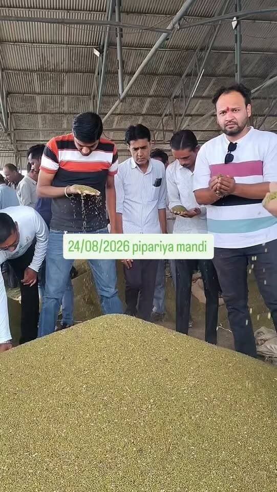 Live moong bhav #viral #india #mandi #pipariya