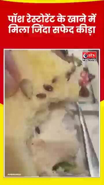 गुरुग्राम के पॉश रेस्टोरेंट में खाने के अंदर जिंदा कीड़ा! ग्राहक ने बनाया VIDEO #citynews_amravati