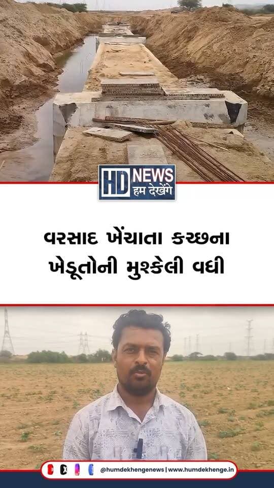 કચ્છના ભુજ તાલુકાના ગ્રામ્ય વિસ્તારોમાં વરસાદ ખેંચાતા વરસાદ આધારિત ખેતી કરતા ખેડૂતોની મુશ્કેલી વધી છે. લોડાઈ, સુમરાસર, કોટાય અને હબાય સહિતના ગામોમાં જુવાર, મગ, બાજરી, તલ, ગુવાર અને એરંડાના પાકને નુકસાનની ભીતિ છે. વરસાદના અભાવે પાકની વૃદ્ધિ અટકી રહી છે અને અનેક ખેતરોમાં પાક સુકાવા લાગ્યો છે. ખેડૂતોએ પાક નુકસાનનું યોગ્ય વળતર તેમજ નર્મદા યોજનાનો લાભ આપવા રાજ્ય સરકાર સમક્ષ માંગ કરી છે.
#HumDekhengeNews #Kutch #Bhuj #Farmers #CropDamage #GujaratNews