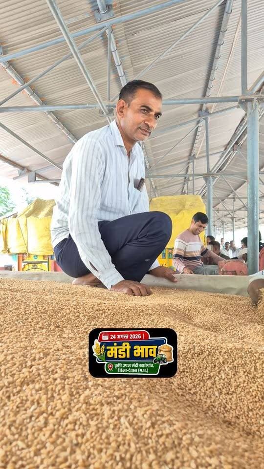 24 अगस्त 2026 | मंडी भाव | कृषि उपज मंडी खातेगांव, जिला-देवास (म.प्र.)